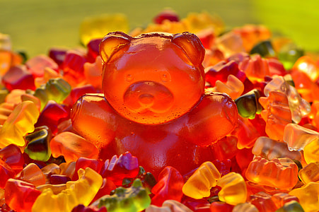 Giant Rubber Bear, Gummibärchen thumbnail