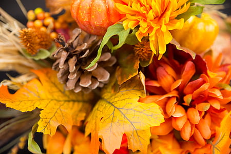 brown pine cone and orange petaled flowers bouquet thumbnail
