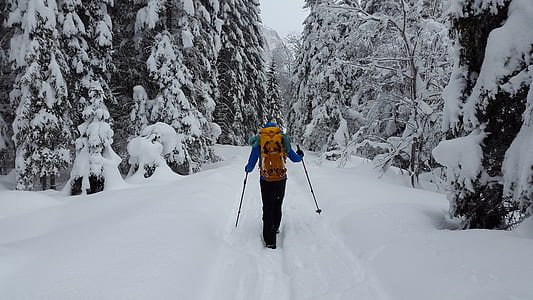 person between snow covered trees thumbnail