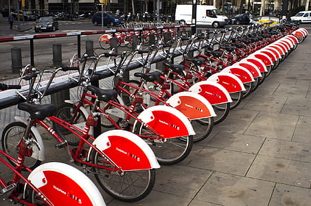 Parked Red and White Bicycles thumbnail