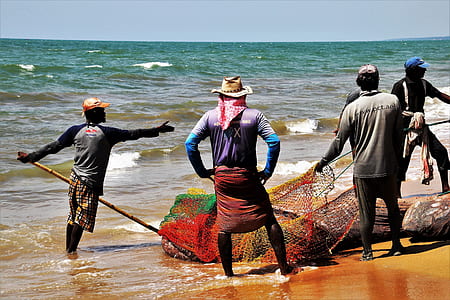 group of man catching fish using net thumbnail