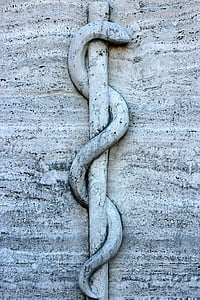 snake carved wall art thumbnail