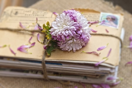 white and purple chrysanthemums on envelopes thumbnail