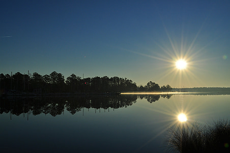 silhouette of trees near body of water thumbnail