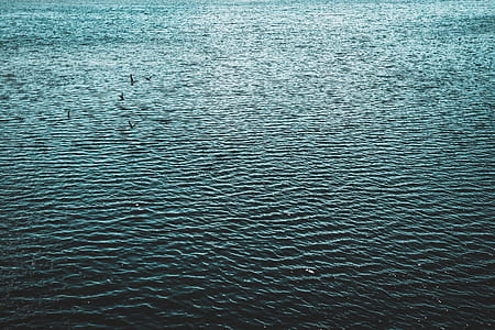 body of water thumbnail