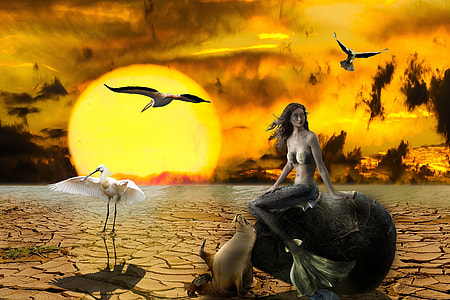 mermaid sitting on rock beside seal and white stork golden hour illustration thumbnail