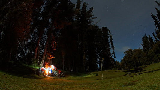 tent near green leaf tree thumbnail