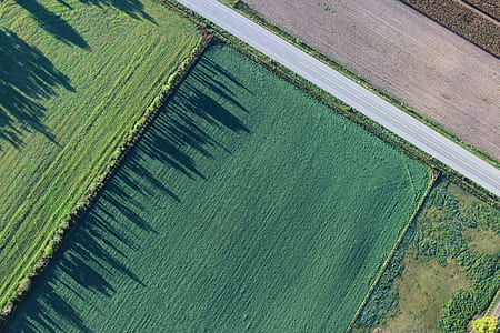 green grass filed under sunny sky thumbnail