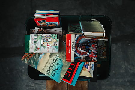 assorted-title book lot with black plastic bin thumbnail