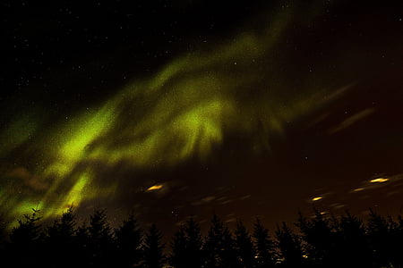 silhoutte of green leafed trees thumbnail