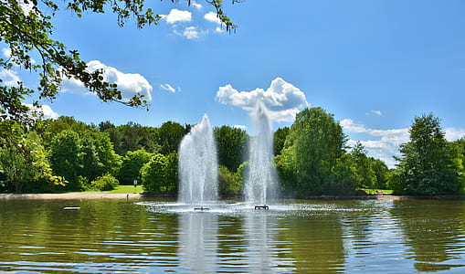 green forest thumbnail
