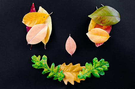 Green and Brown Leaves thumbnail