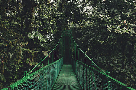 green metal bridge thumbnail