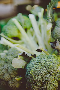 Selective Focus Photography of Broccoli thumbnail