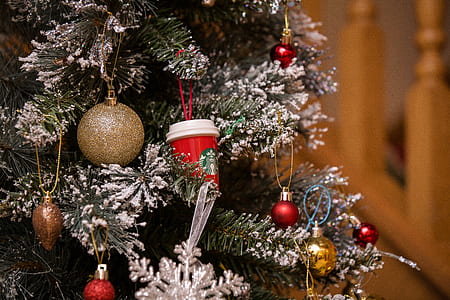 green Christmas tree in macro photography thumbnail