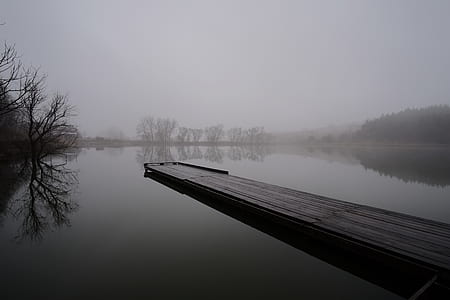 fog-covered lake thumbnail