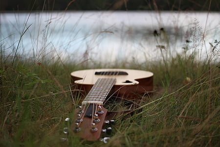 brown acoustic on grass field thumbnail