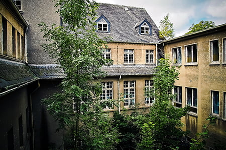 green leafed trees in middle brown concrete buildings thumbnail