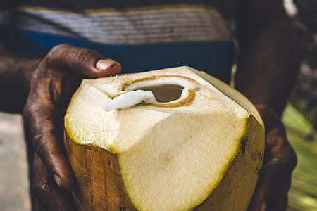 Person Holding Coconut thumbnail