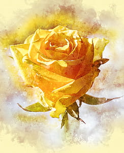 yellow rose painting thumbnail