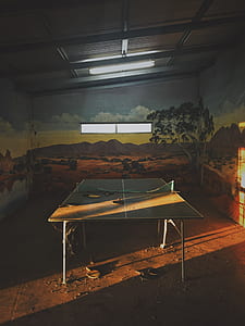 ping pong table in center of landscape painted room thumbnail