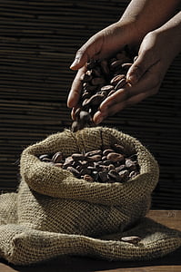 person holding brown seeds thumbnail