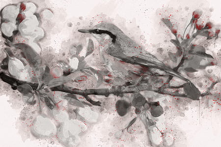 gray bird perched on branch painting thumbnail