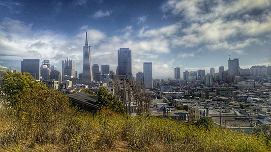 view of a city with tall buildings during daytime thumbnail