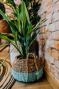 Details of modern interior with green plants thumbnail