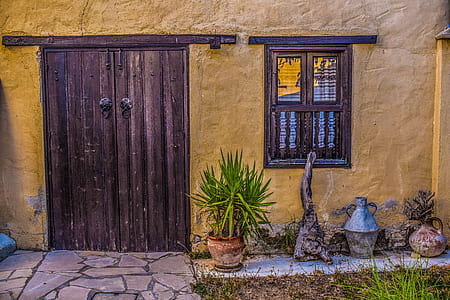 green leaf plant beside brown wooden door thumbnail