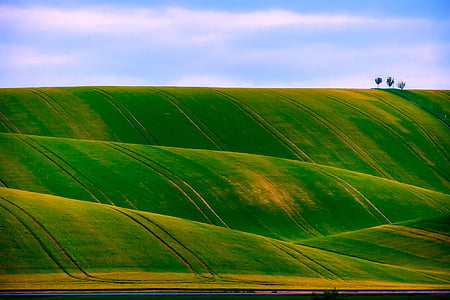 green grass mountain thumbnail