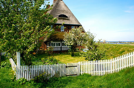 brown house beside green leafed tree thumbnail