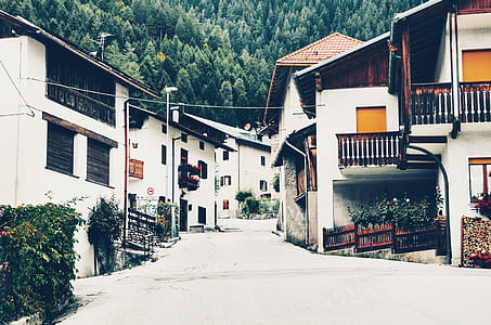 White Painted Houses Near Trees thumbnail
