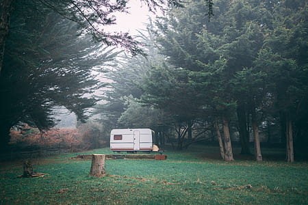 white RV trailer between green leafed trees during daytime thumbnail