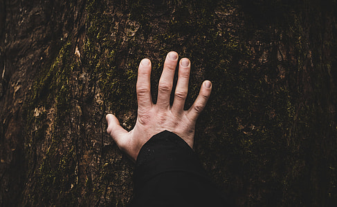 person's right hand on top of brown wooden surface thumbnail