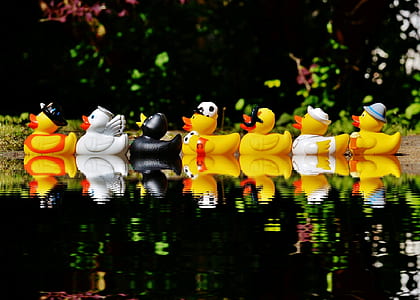 rubber duck lot on body of water thumbnail