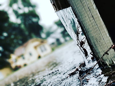 cold, wood, light, landscape thumbnail