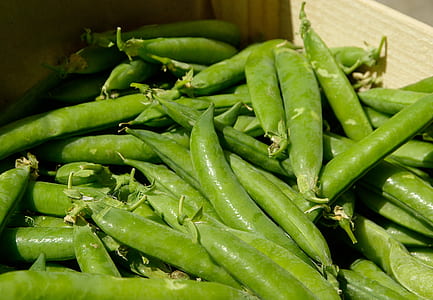 bunch of green beans thumbnail
