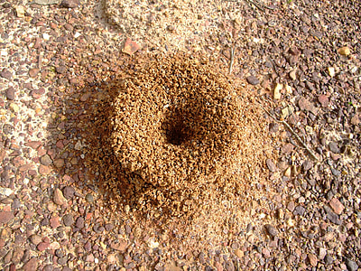 brown soil surface thumbnail