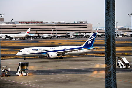 white and blue airplane on air port during daytime thumbnail