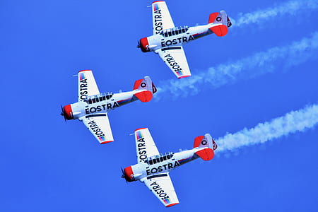 Eostra Stunt Planes thumbnail