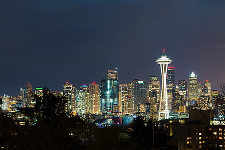 Space Needle Tower at night thumbnail