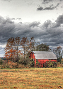 red and gray wooden barn shed at daytime thumbnail