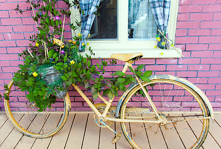 yellow mountain bike with leafes thumbnail