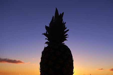 silhouette photo of pineapple thumbnail