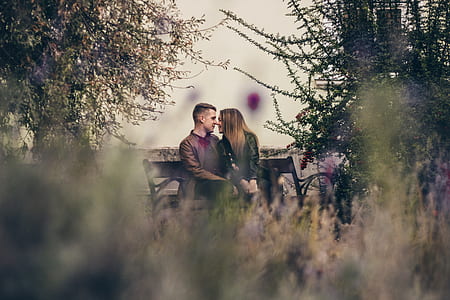 couple sitting on bench thumbnail