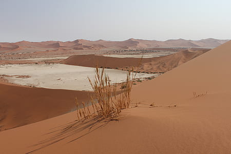 dune, desert, sand, africa thumbnail