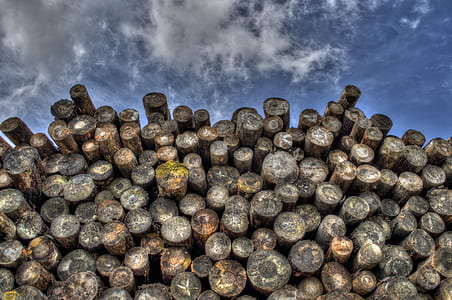 brown wood log lot thumbnail