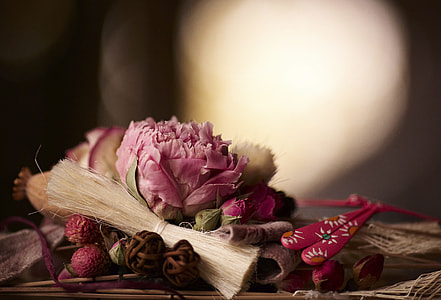 focus photo of pink petaled flower thumbnail