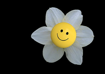white petaled flower with emoji closeup photo thumbnail